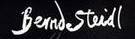 logo Bernd Steidl
